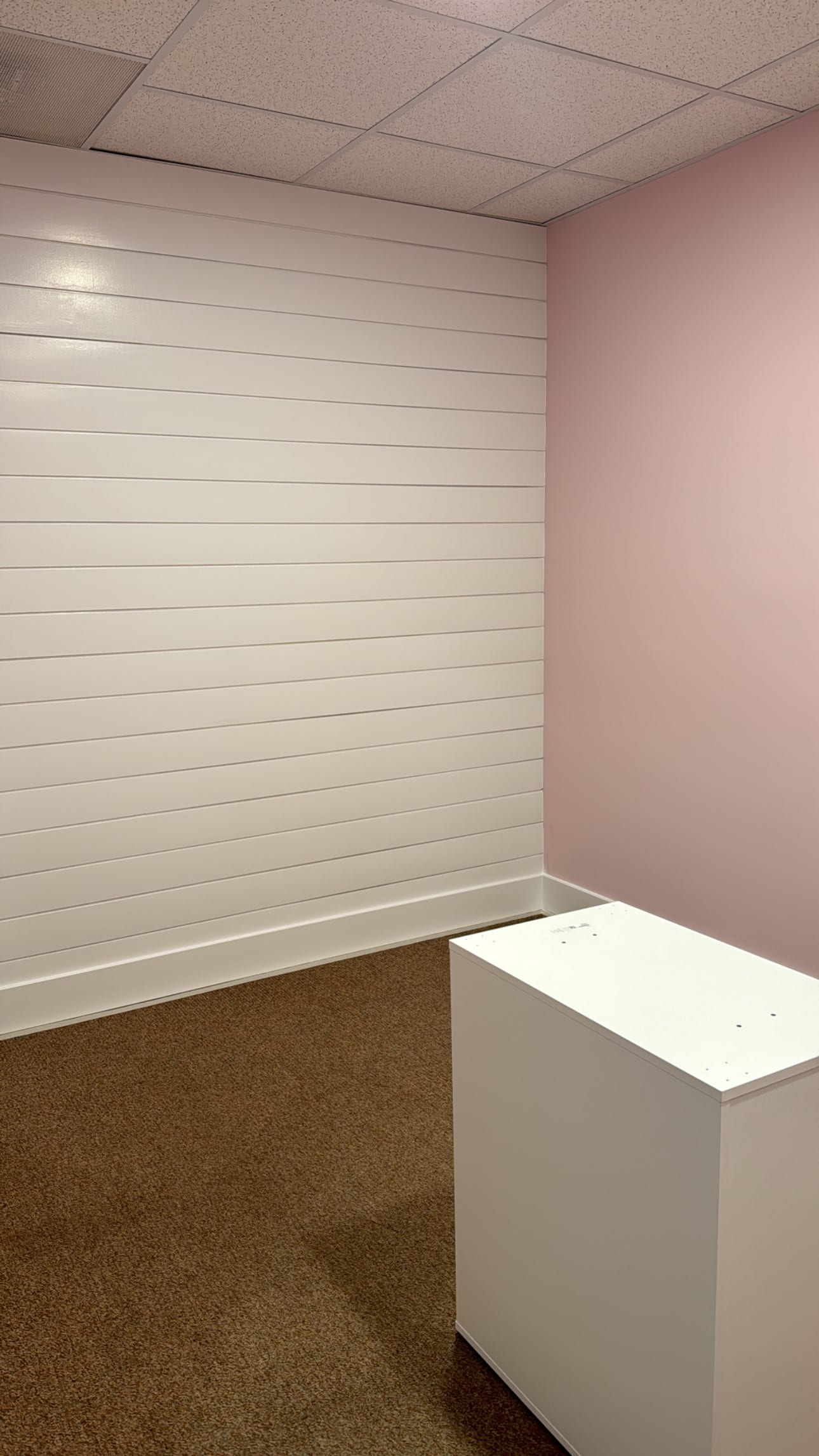Office Space Remodel — photo 2