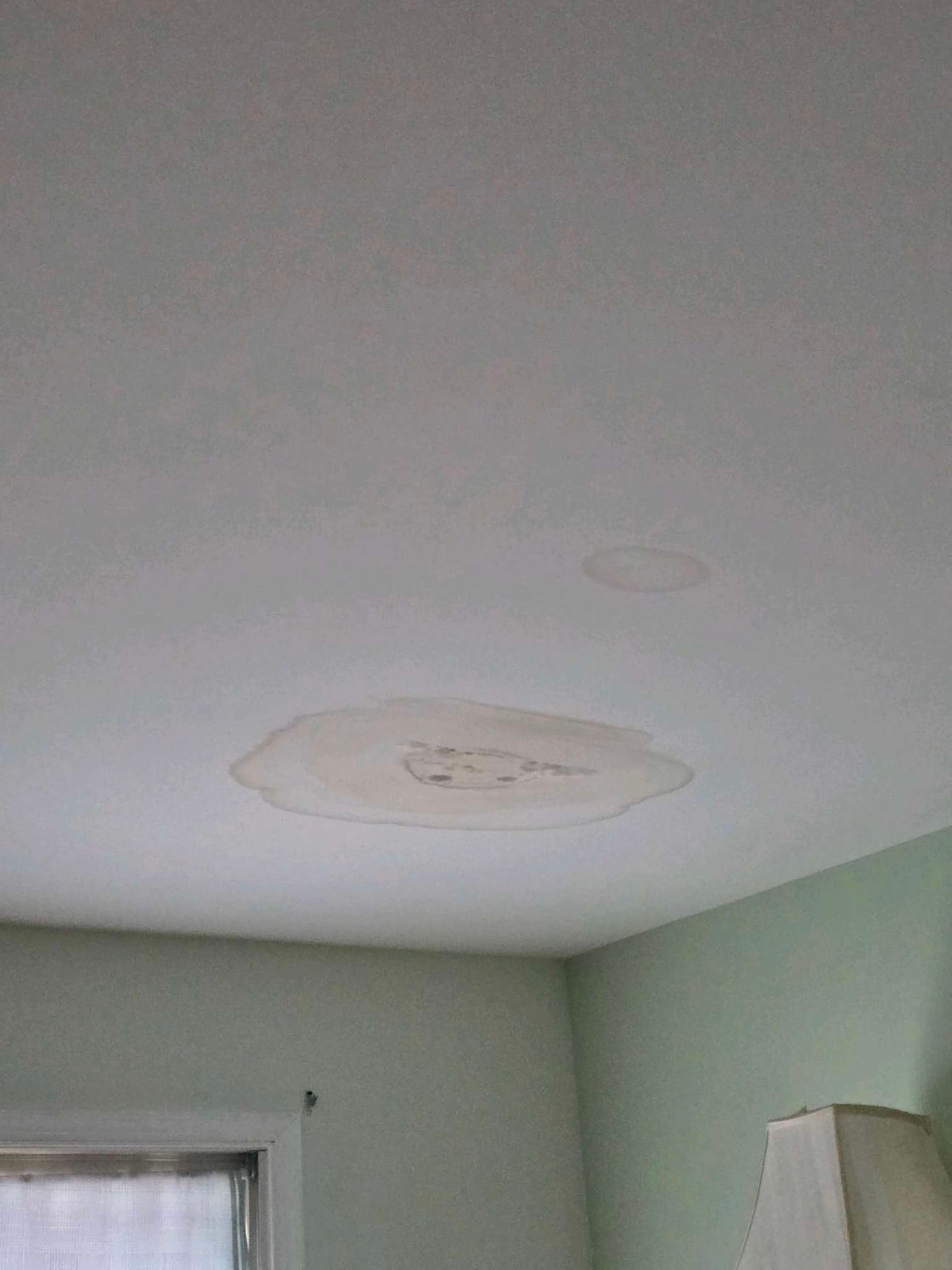 Ceiling Water Stain Repair — photo 1