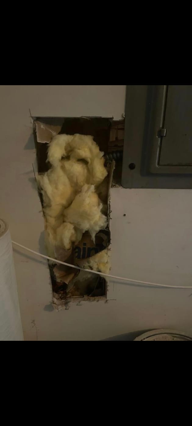 Drywall before repair