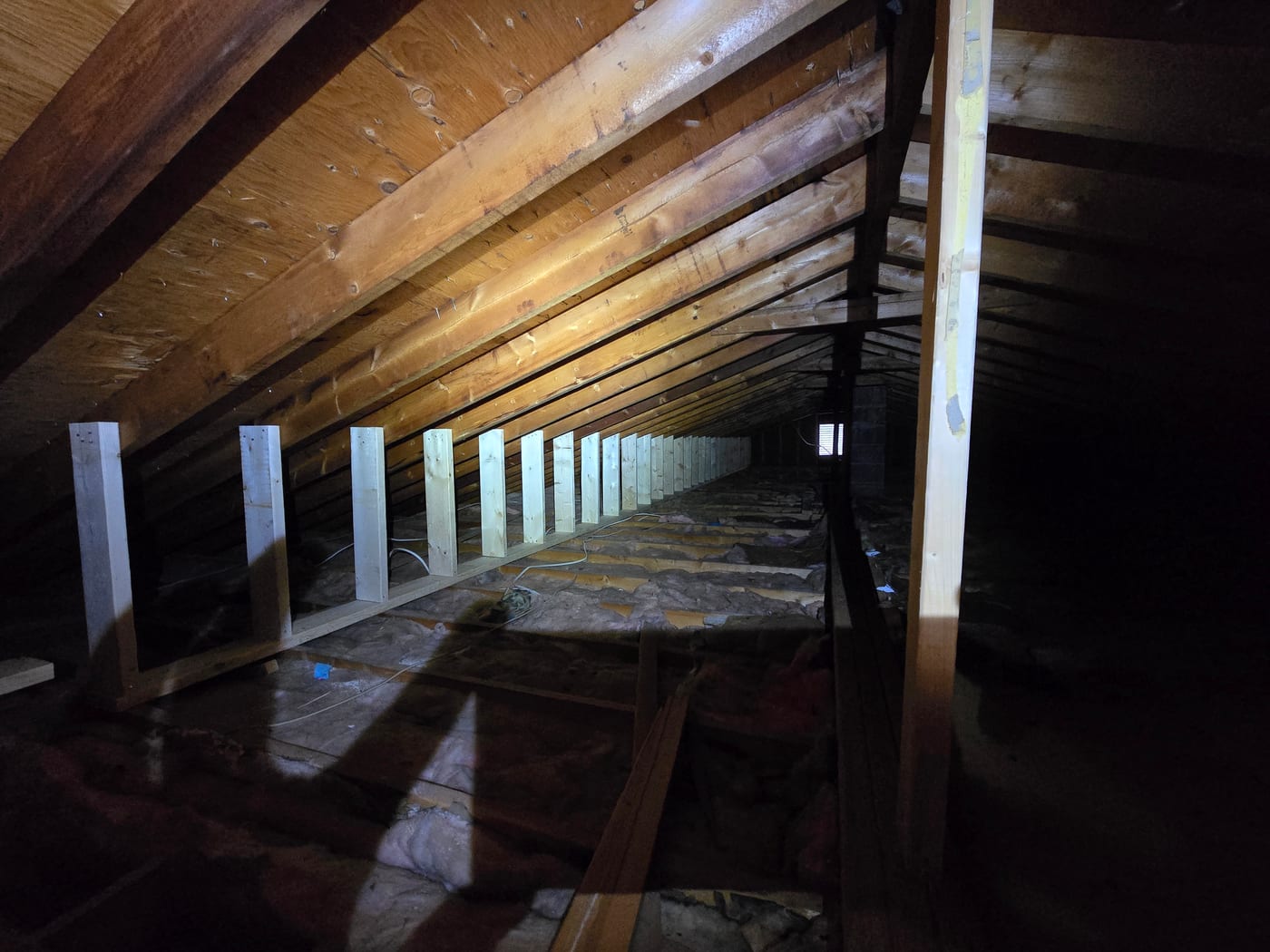 Rafter reinforcement