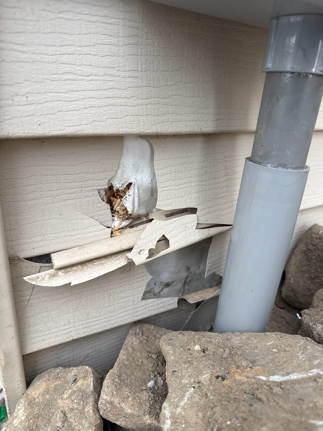 Siding before repair